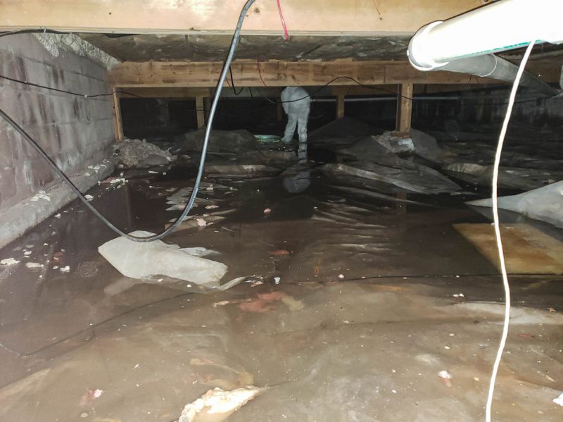 Basement Water Removal in Gilbert, AZ