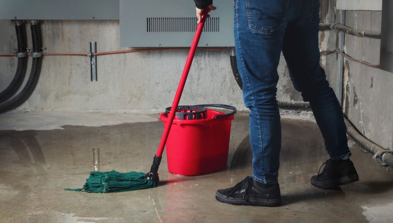 Flood Cleanup Service in Phoenix, AZ