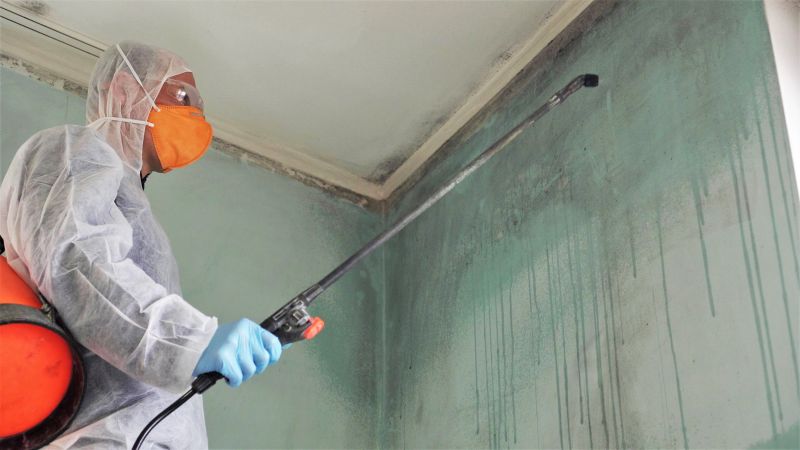 Smoke Remediation Service