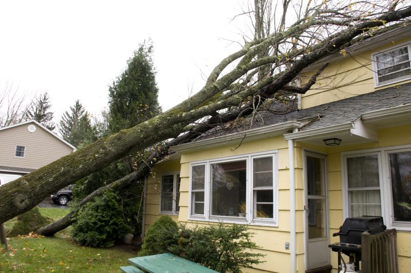 Storm Damage Mitigation in Scottsdale, AZ