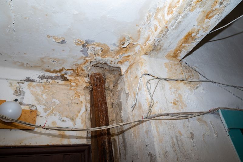 Water Damage Repair in Chandler, AZ