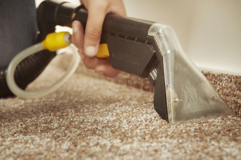 Wet Carpet Drying in Chandler, AZ